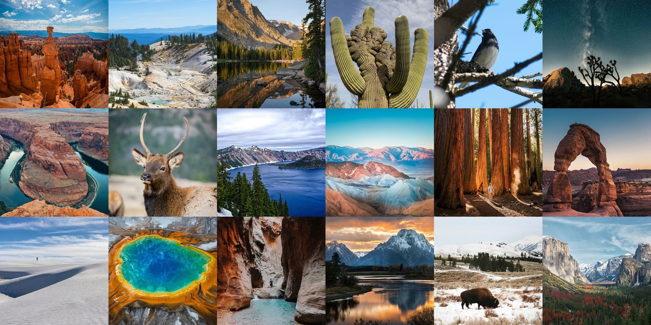 A collage of diverse natural landscapes, featuring mountains, deserts, forests, wildlife, and hoodoos.