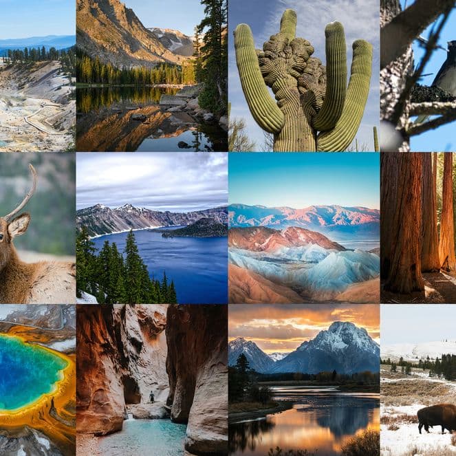 A collage of diverse natural landscapes, featuring mountains, deserts, forests, wildlife, and hoodoos.