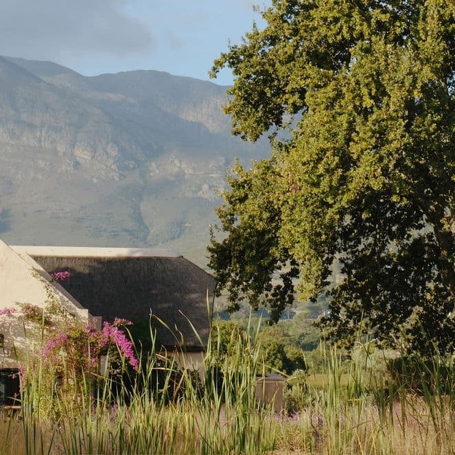 21 Photos: Cape Town beyond the city