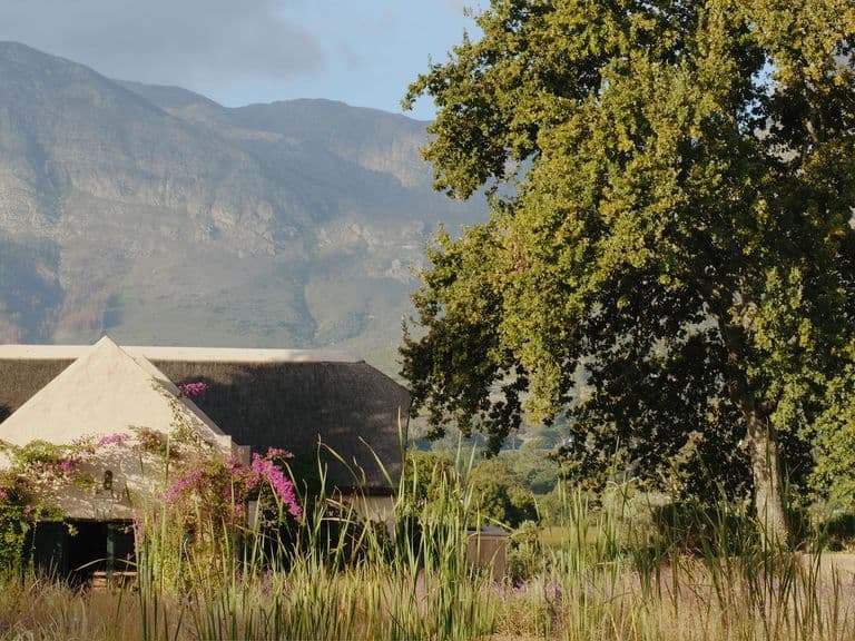 21 Photos: Cape Town beyond the city