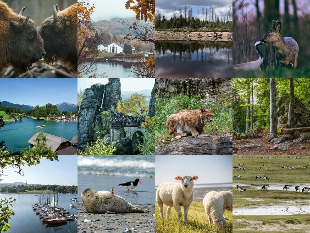The most photographed national parks in Germany