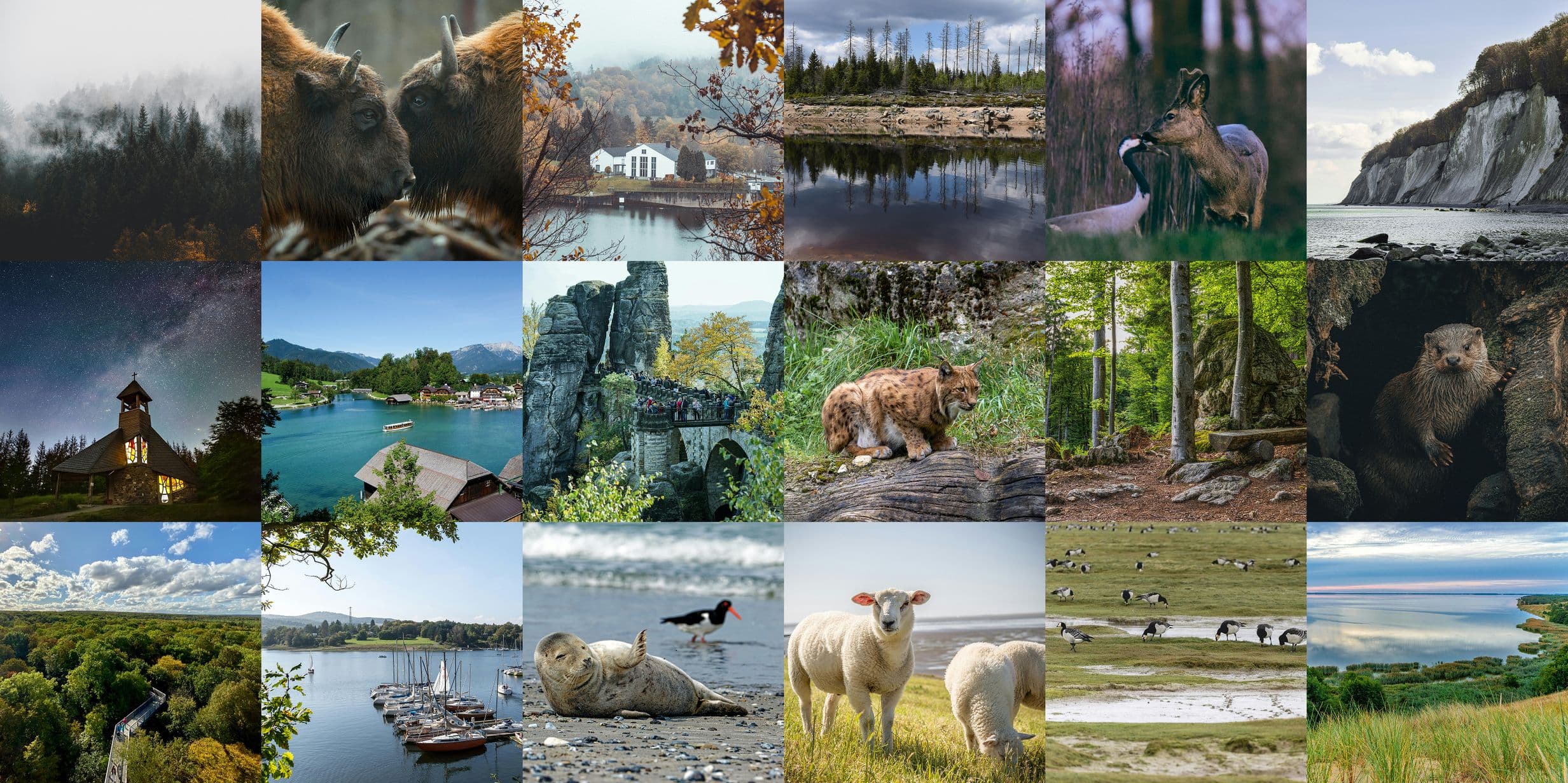 The most photographed national parks in Germany