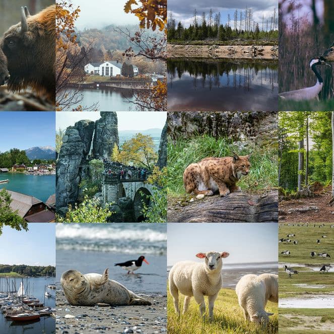 The most photographed national parks in Germany