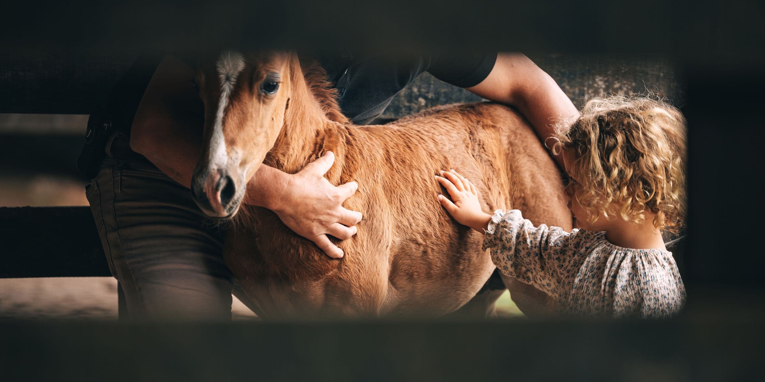 Child strokes pony