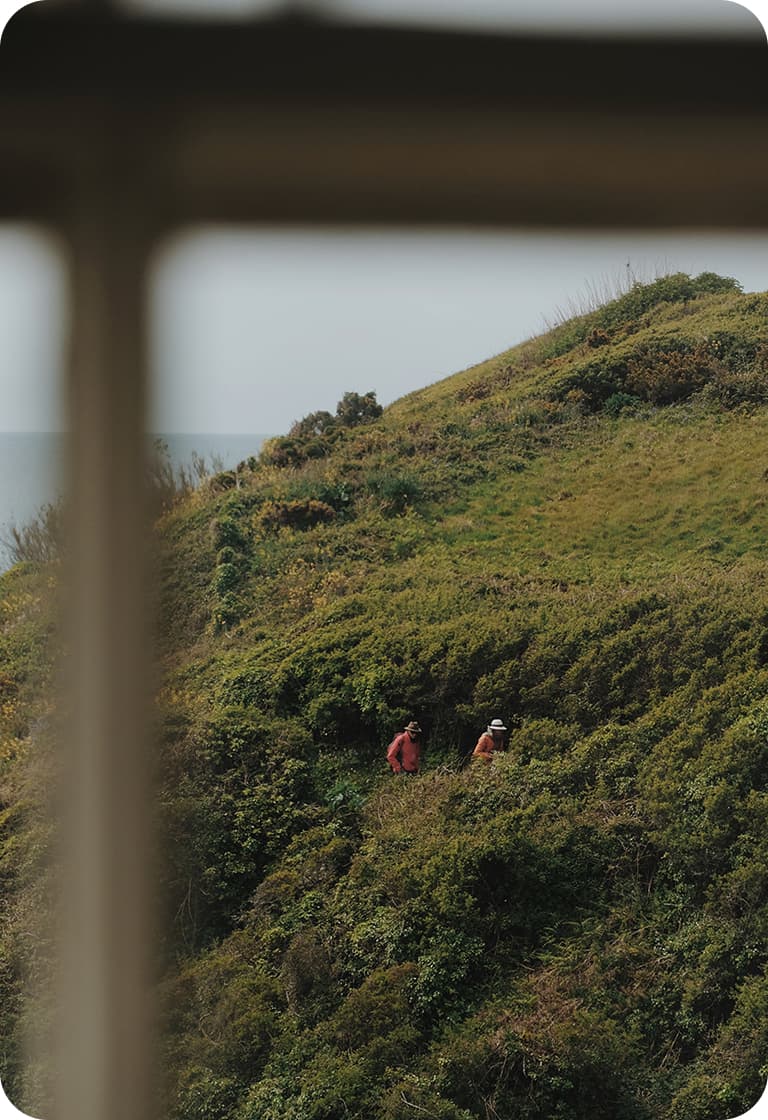 Two people in hats walk across a green, shrub-covered coastal hill seen through a blurred window frame.
