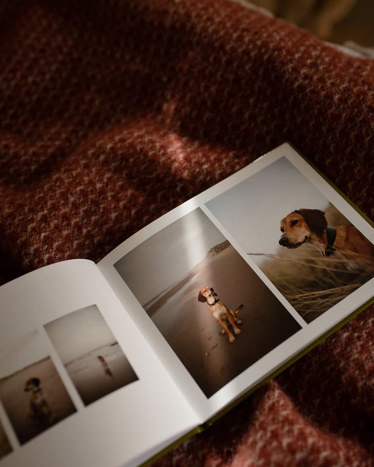 more views inside the dog photo book