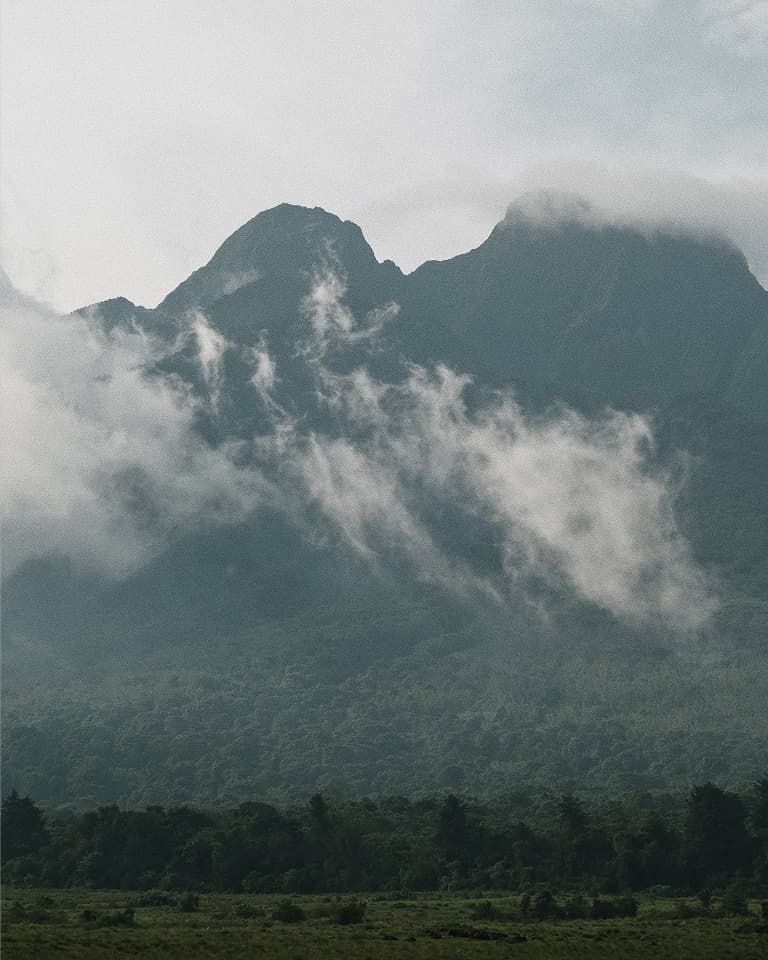 Misty mountain landscape with clouds hovering around rugged peaks, and dense forest covering the lower slopes.