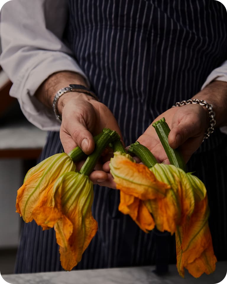 Person's hands in a pinstripe apron holding fresh orange-yellow squash blossoms by their green stems.
