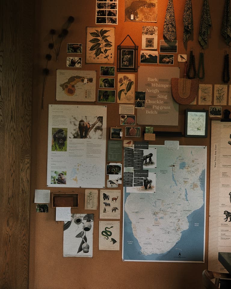 A wall display with maps, botanical prints, photos of plants and animals, and layered paper clippings on a corkboard background.