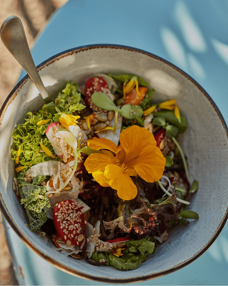 A vibrant salad in a bowl with mixed greens, cherry tomatoes, seeds, and a large orange edible flower on top.
