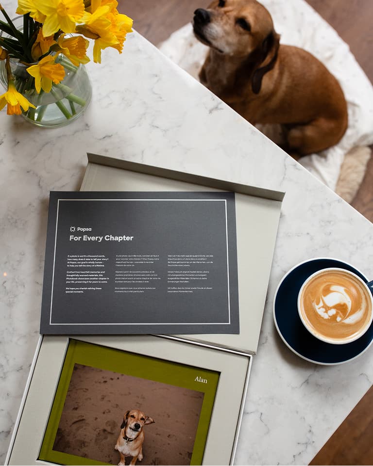 the photo book in its box with the dog and coffee in shot
