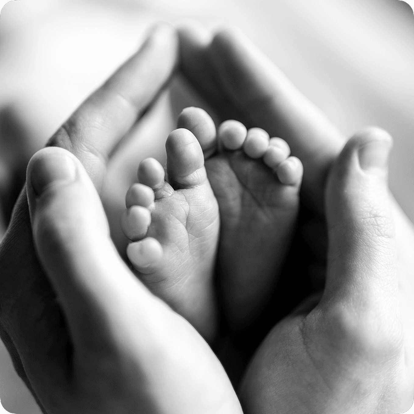 Close-up of adult hands gently cradling a baby's feet, black and white image.